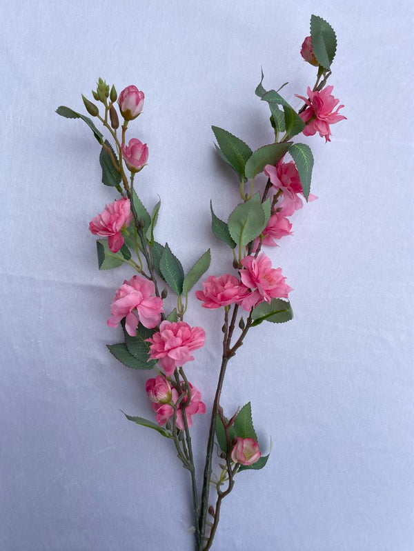 Camellia Long Stem