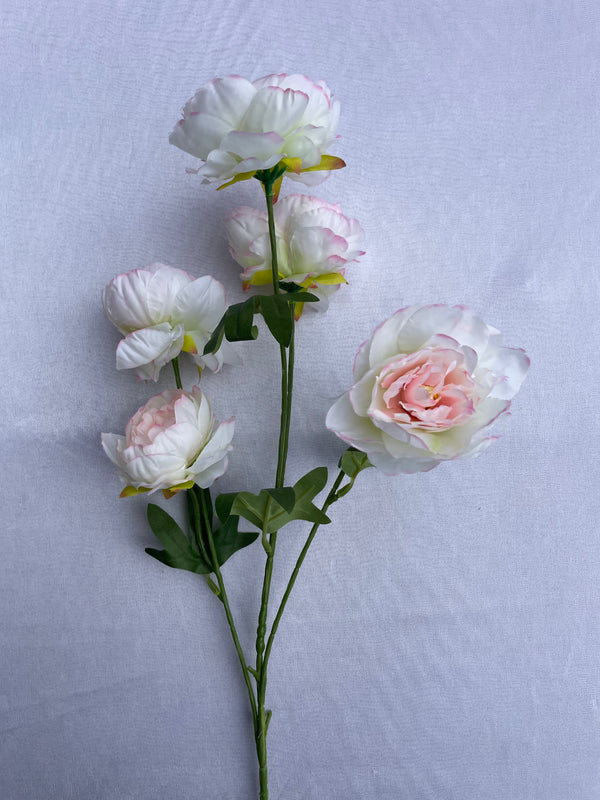 5 Small Heads Peony