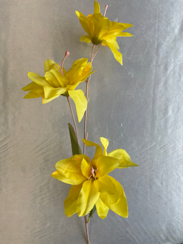 3 Heads Long Stem Lily