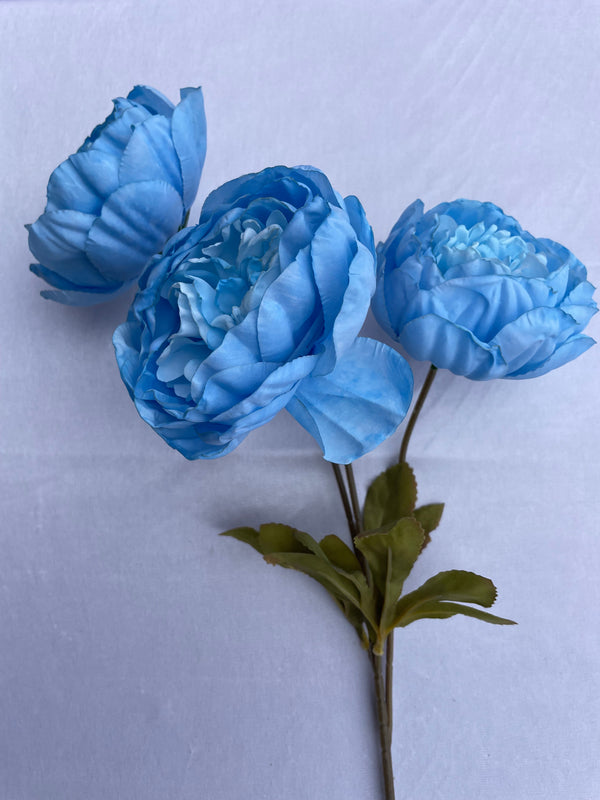 3 Large Heads Reunion Peony