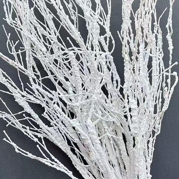 Artificial Dry Tree Branch Without Leaves Flower Arrangement Foam White Twig Branch