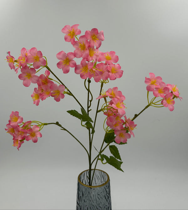 Long Stem Wutong Blossom Pink